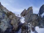 Saxifrage - Glacier du Chardon - Vaccivier