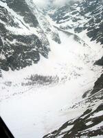 Le paradis blanc