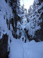 Torrent de Queyrières