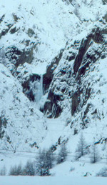 Cigare de Sainfoins - (Vallon de Maurin)