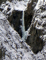 Cigare de Sainfoins - (Vallon de Maurin)