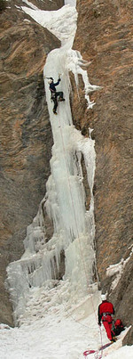 Vermicelle
