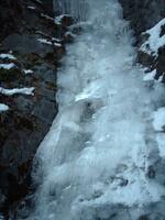 Torrent de Queyrières