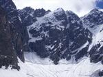 Saxifrage - Glacier du Chardon - Vaccivier