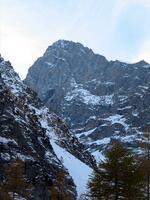 Barre des Ecrins