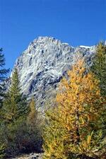 Barre des Ecrins