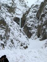Cigare de Sainfoins - (Vallon de Maurin)