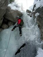 Torrent de Queyrières