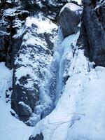 Torrent de Queyrières