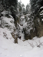 Torrent de Queyrières