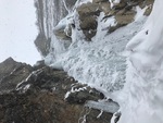 Patri gauche