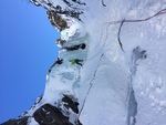 Patri gauche