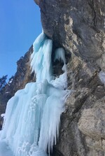 Un poireau dans l'abricot