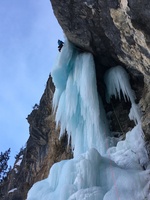 Un poireau dans l'abricot