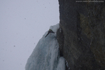 Géant des Tempêtes