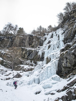 Ice Pocalypse