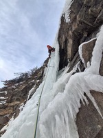 Fine et délicatesse