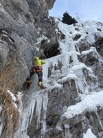 Fine et délicatesse Fine et délicatesse